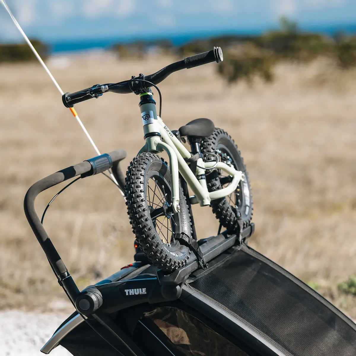 Original Thule Chariot 2 Bike Holder | Laufradhalter fĂźr Zweisitzer (Cross & Sport) Thule