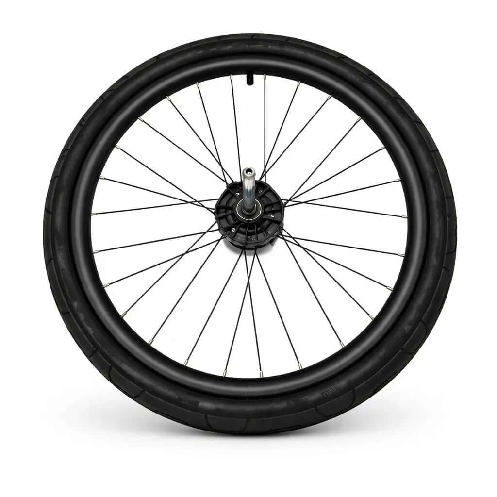 Thule Chariot Sport Hinterrad 20 Speichen für 1- und 2-Sitzer – Ansicht des Hinterrads mit Felge und Speichen