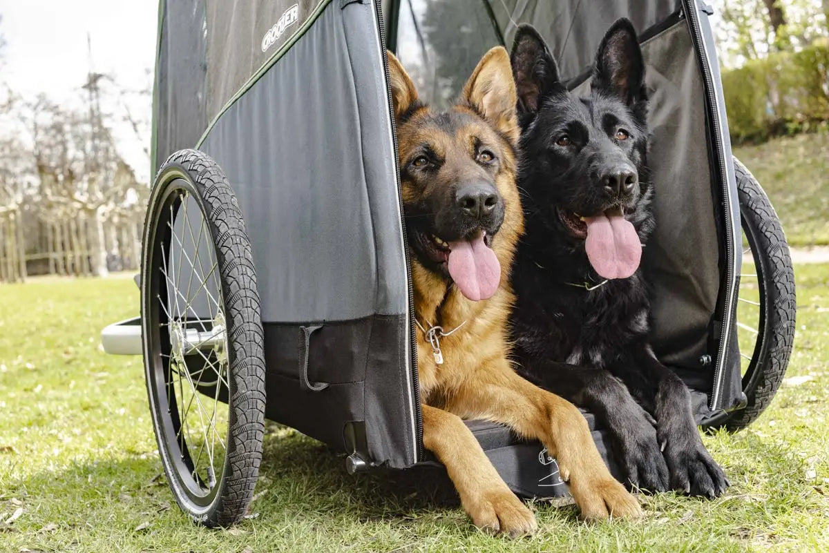 Croozer Dog Tammo Moss Green – Premium Hundeanhänger für große Hunde bis 45 kg Croozer